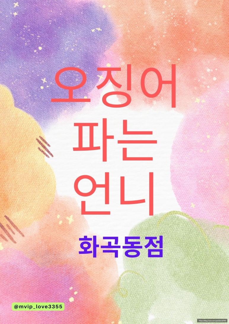 오징어파는언니 이미지