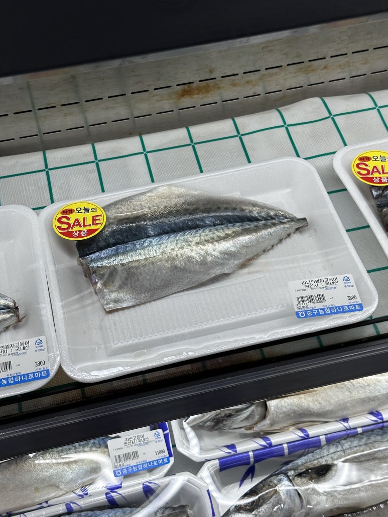 바다의왕자민박 이미지