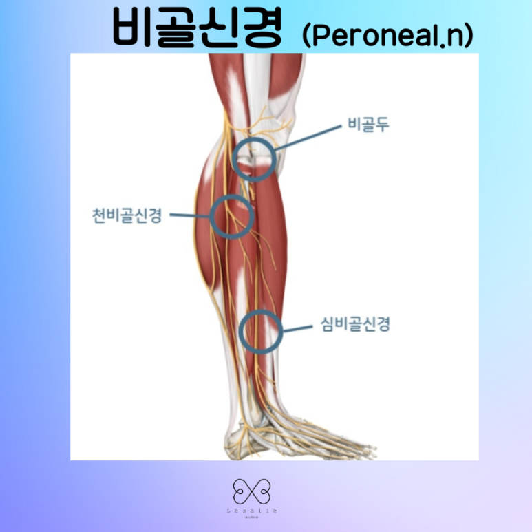 플러팅테라피 이미지