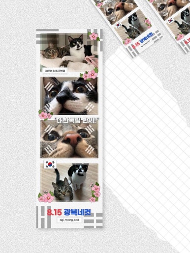졸또 이미지
