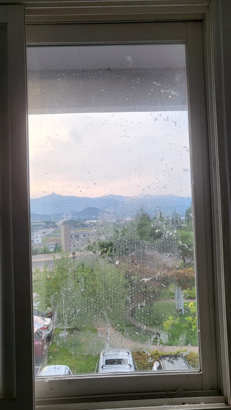 애니클린 이미지