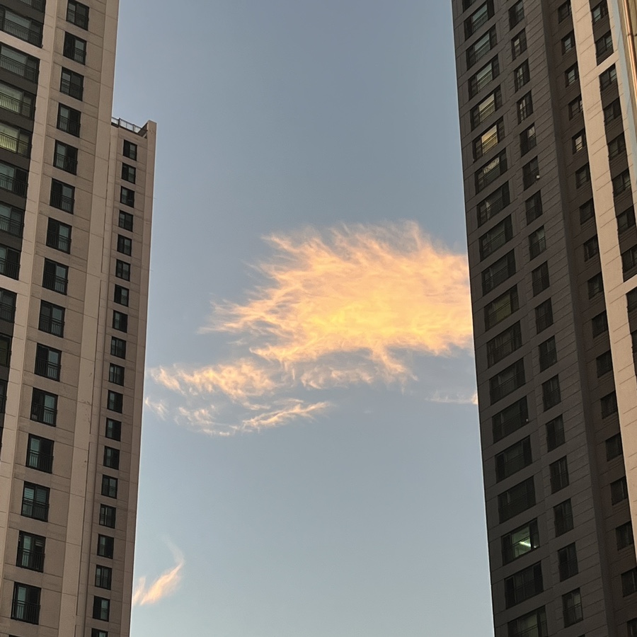 서부실업 이미지