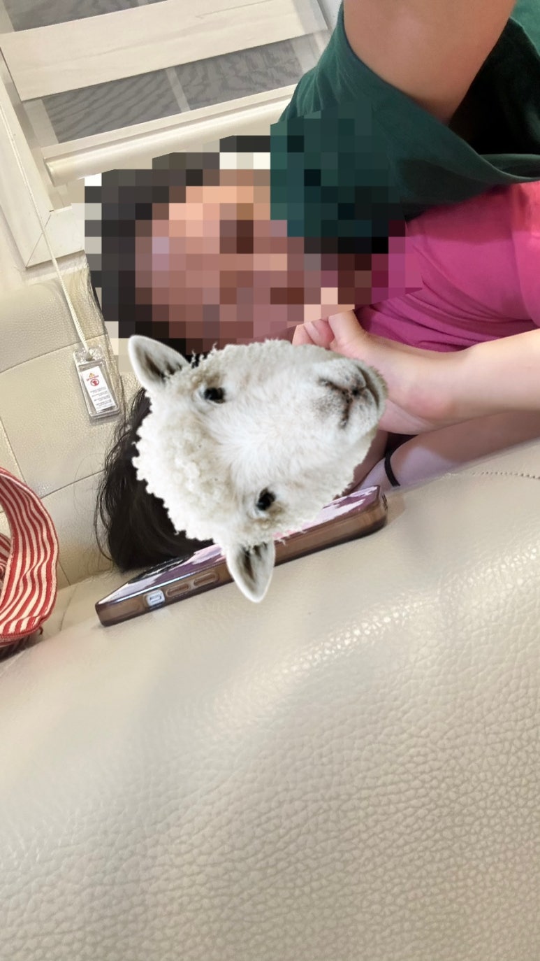 가평모닝필하우스 이미지
