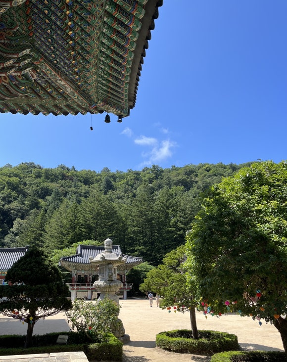 꼽사리식당 이미지