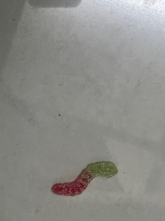 둥글원 이미지