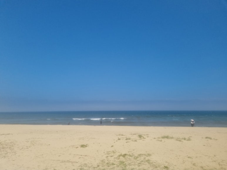 알로하서프 이미지