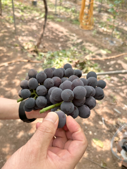 창말국밥 이미지