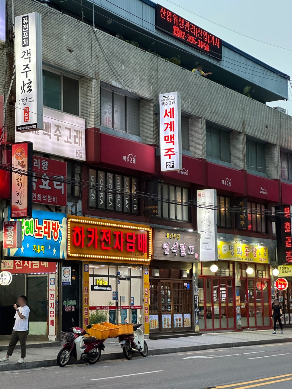 맥주고래 사진 4