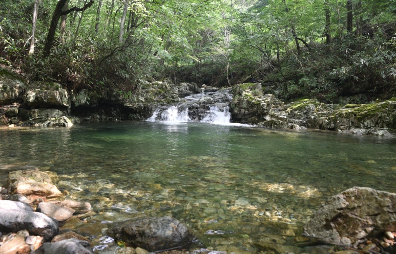 국립운장산자연휴양림 야영장 이미지