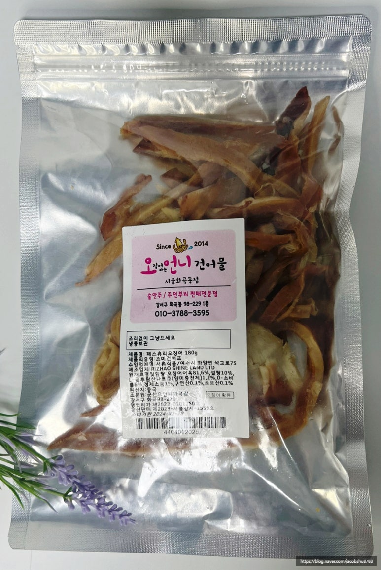 오징어파는언니 이미지