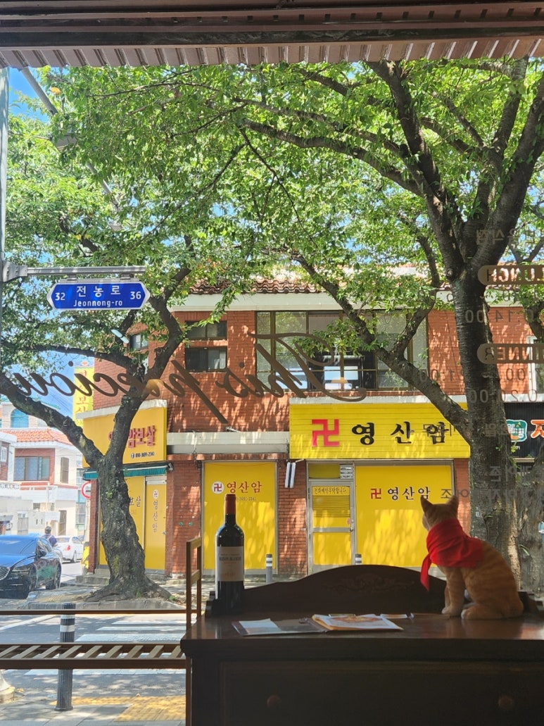 모렐로제주 이미지