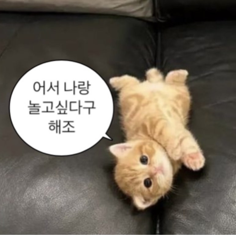 나랑놀자! 이미지