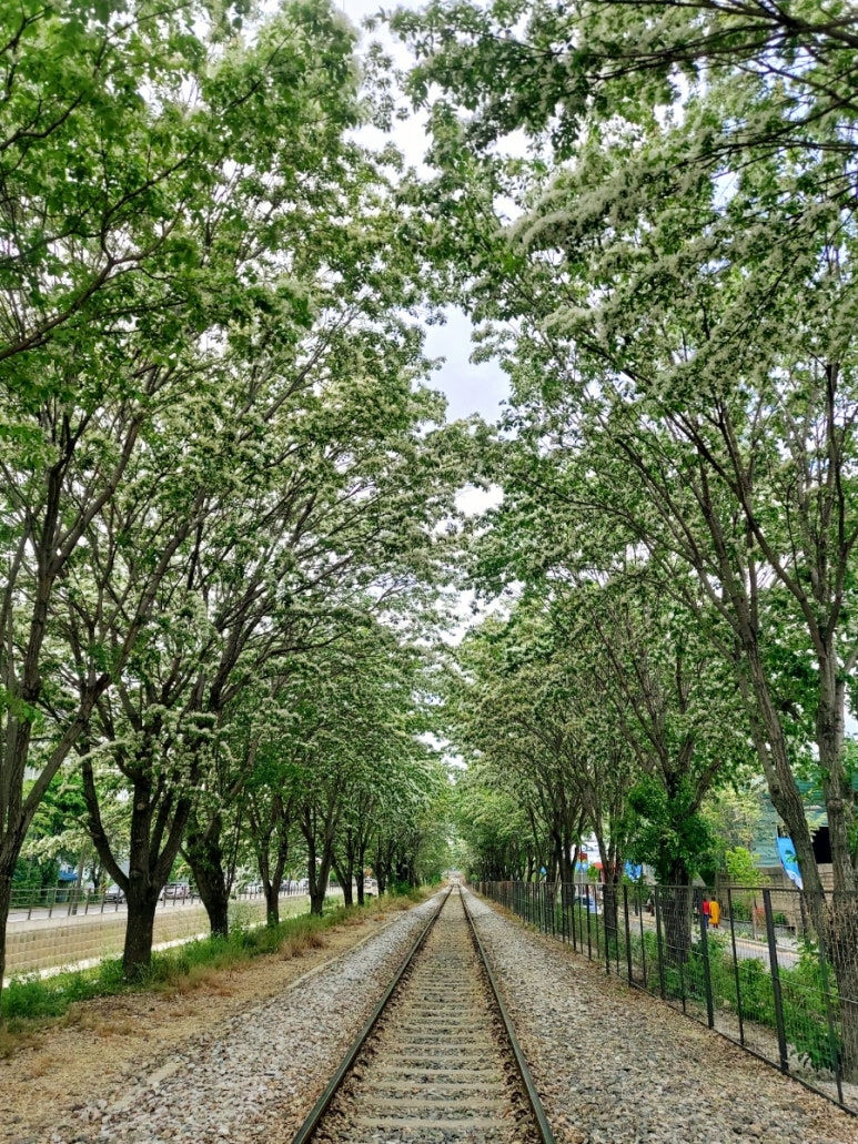팔복인력 이미지