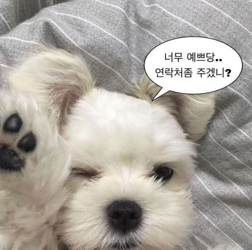 여름가을겨울봄 이미지