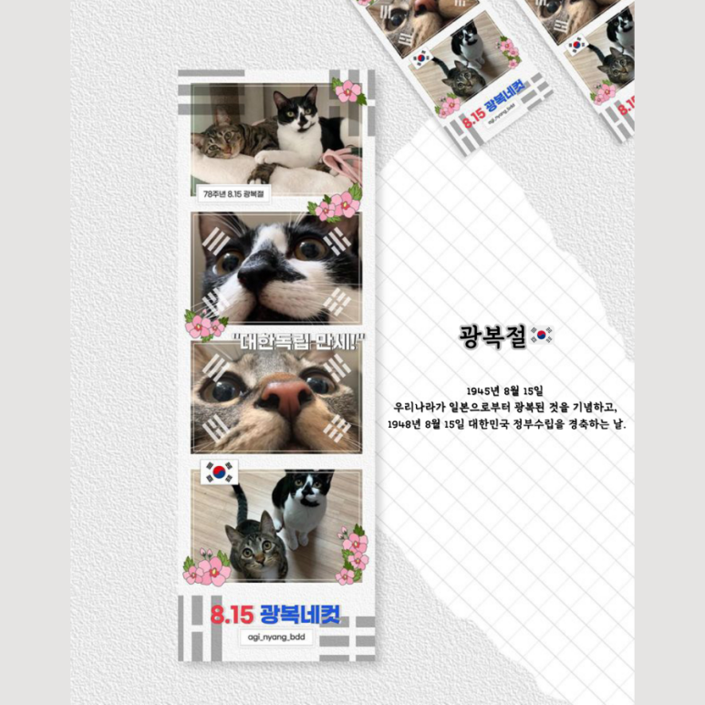 졸또 이미지