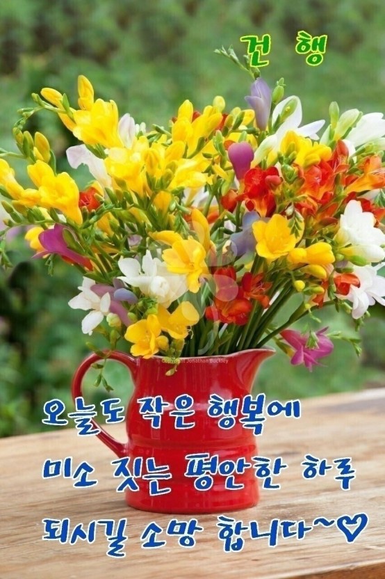 오소카페 이미지