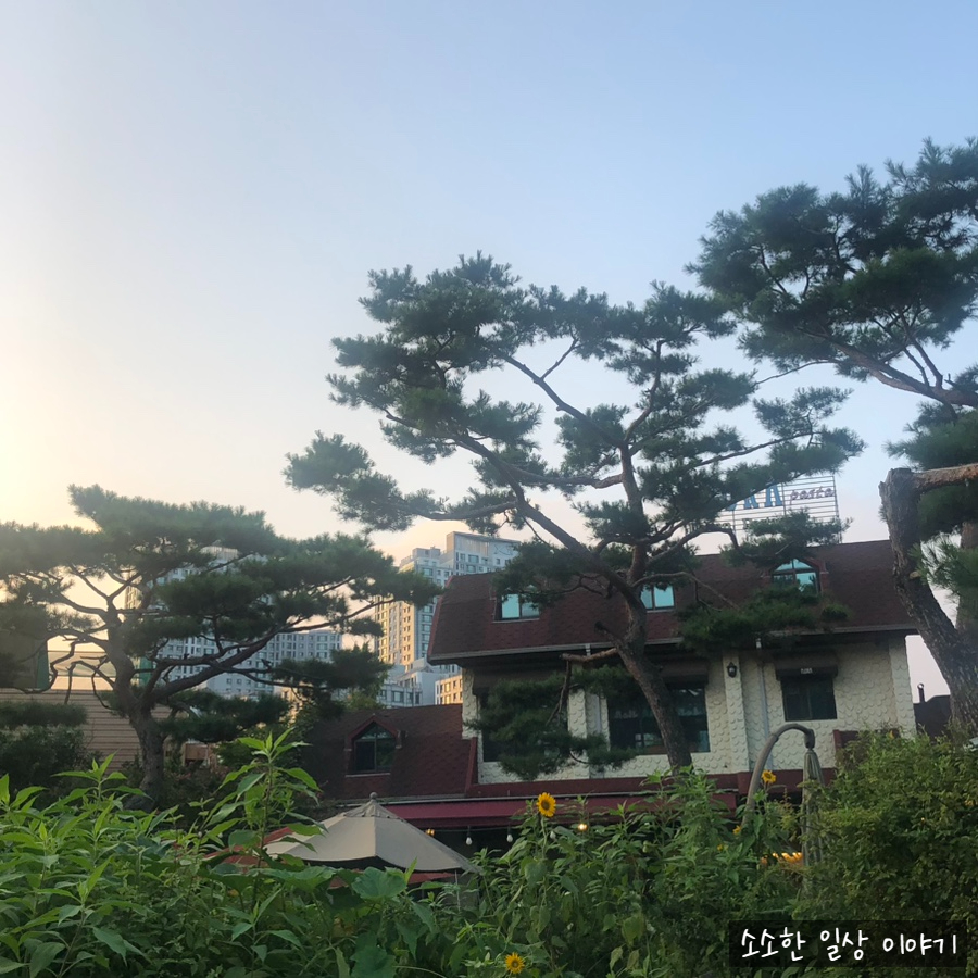 한스플로라 이미지
