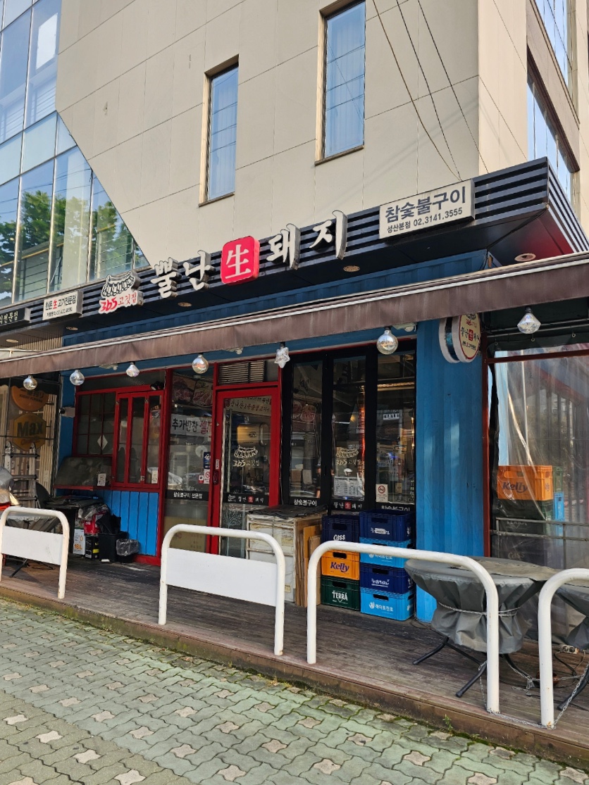 뿔난돼지 이미지