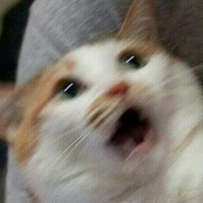파티노래바 이미지