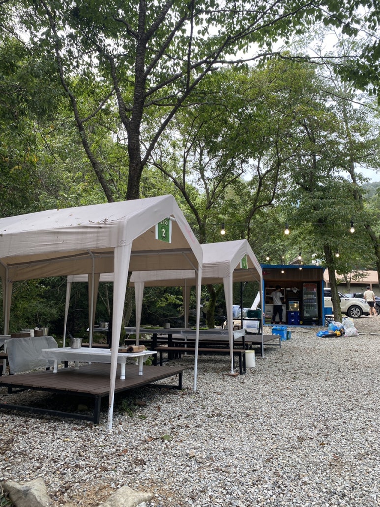 숲750 이미지
