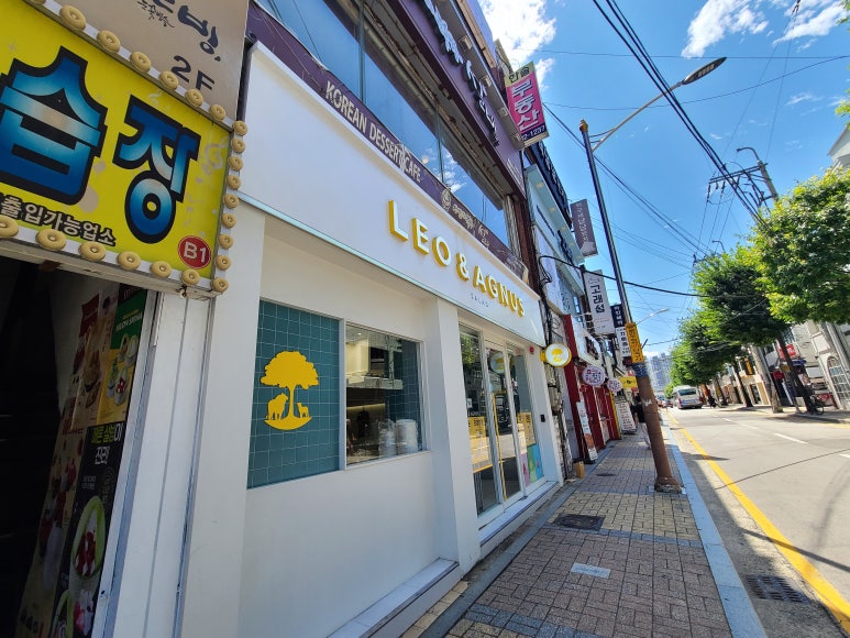 레오앤아그너스 이미지