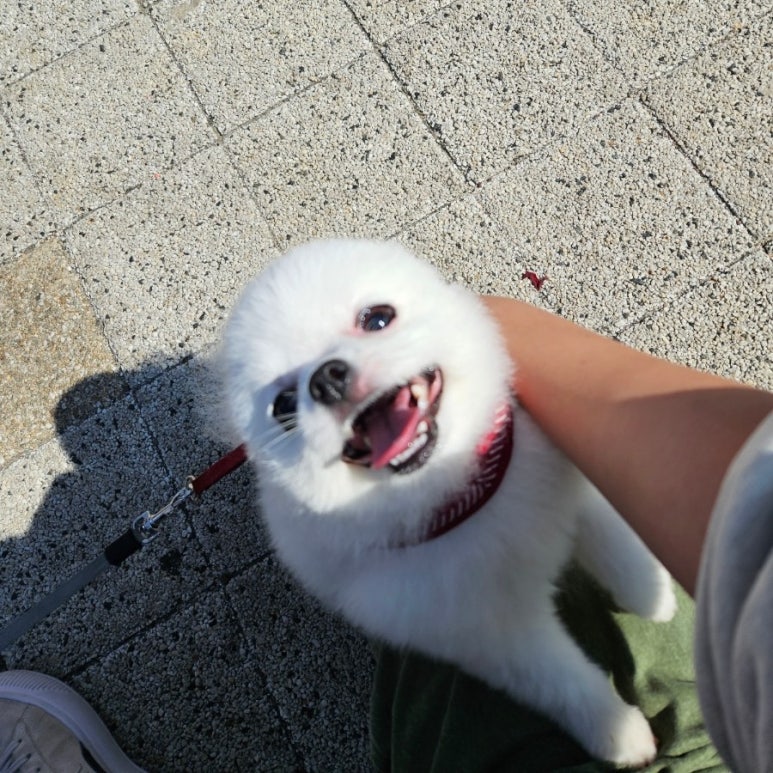 뚱삼이와 대삼이 장안점 이미지