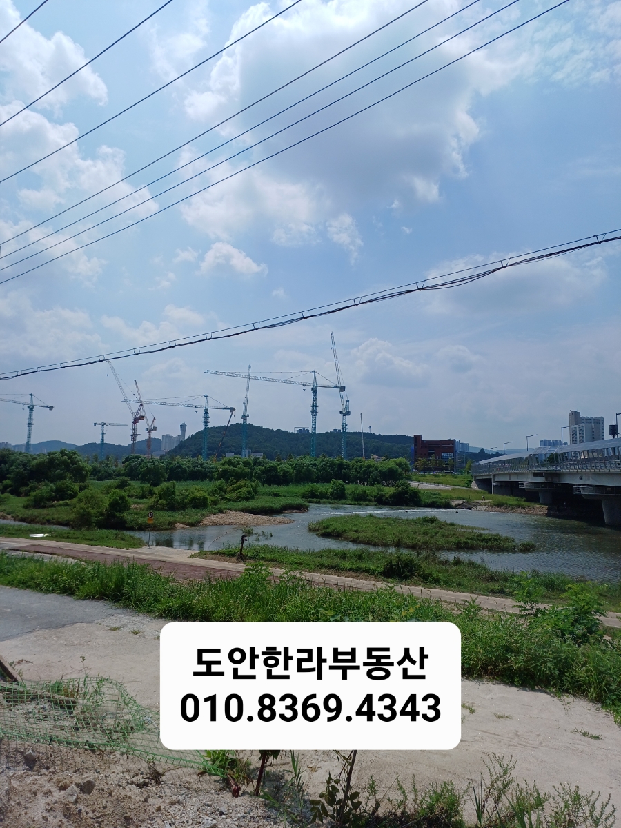 대지커피숍 이미지