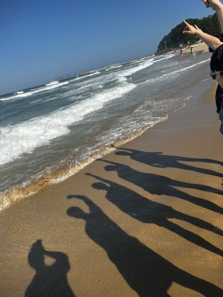 에클레시아의아침 이미지