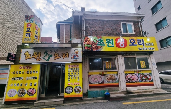 초원생오리 이미지