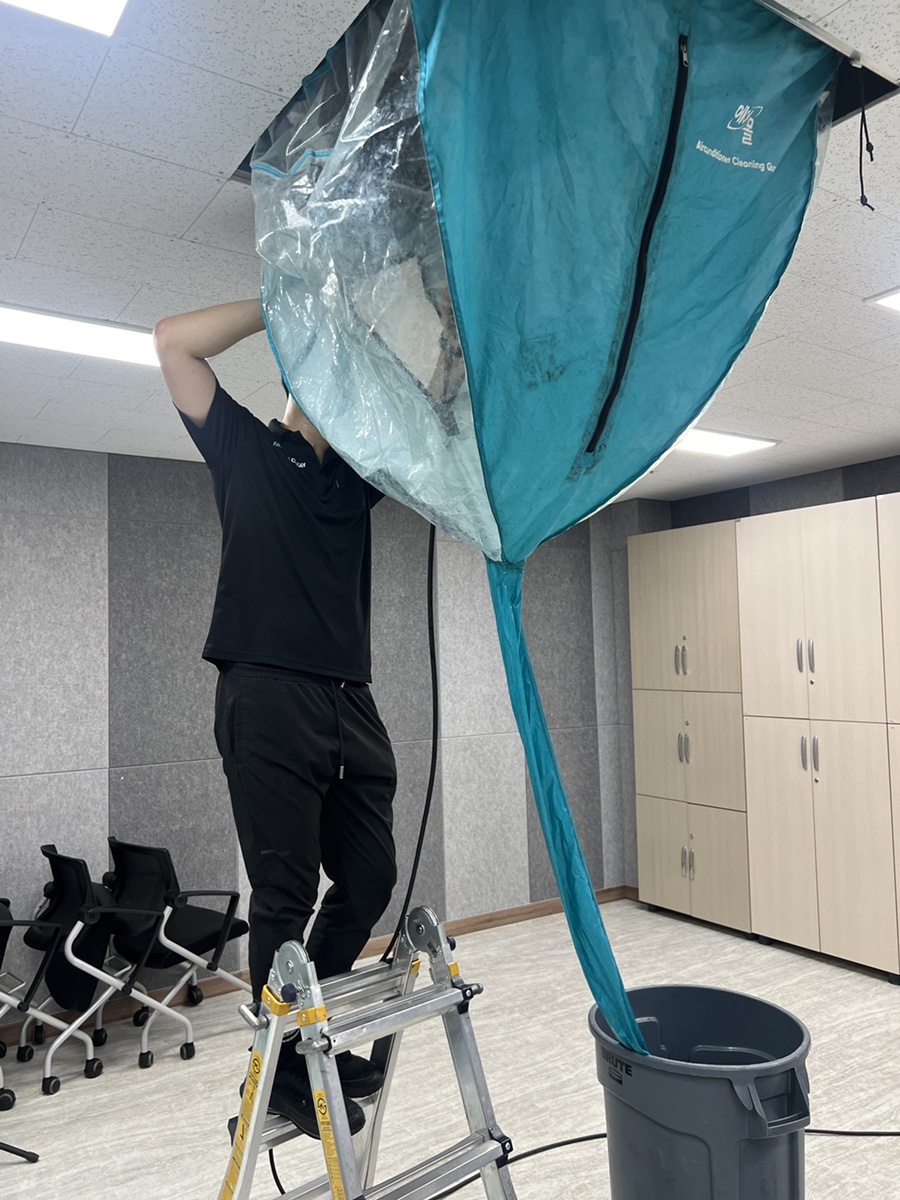 파더스클린 이미지