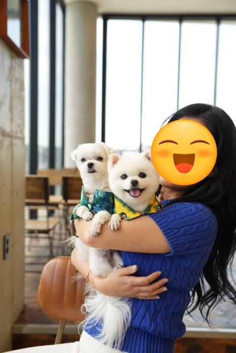 피이아이커피 이미지
