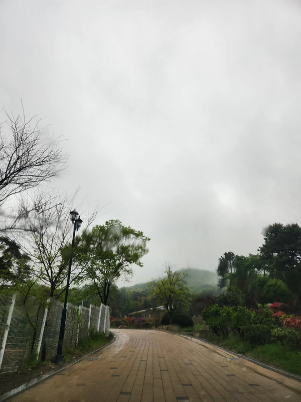 워크안산BBQ 이미지