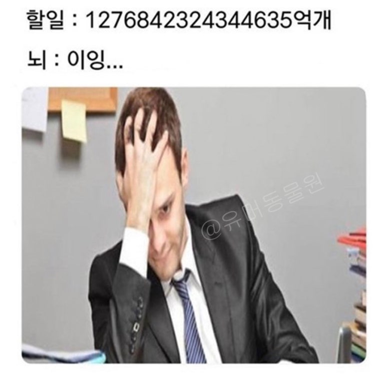 헤이키즈 이미지