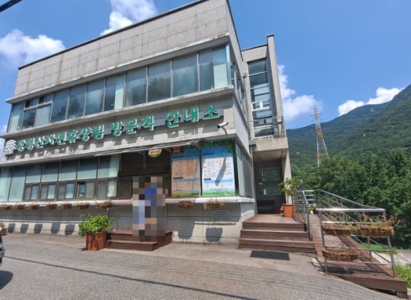 장령산자연휴양림 야영장 이미지