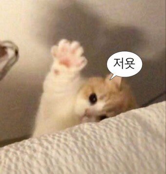 방가방방 이미지