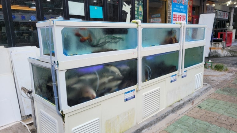 한잔회도매횟집 이미지