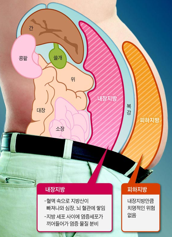 내장숲 이미지