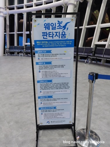 아나카페고래 이미지