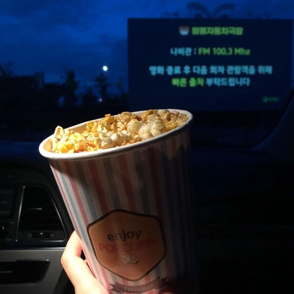 평택호자동차극장 이미지