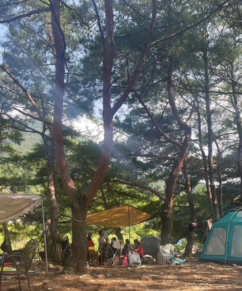 수민자재 이미지