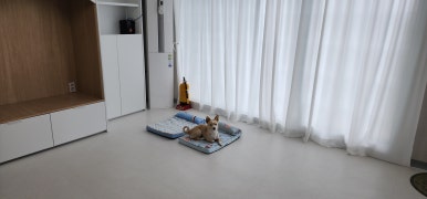달과7펜스 이미지