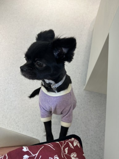 네일바유 이미지