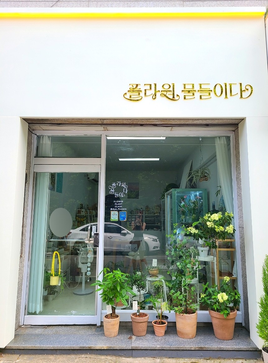 플라워물들이다 이미지