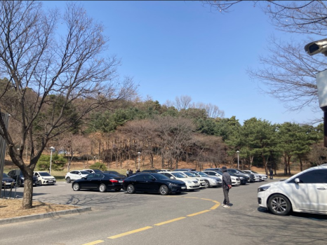 달보드레2 이미지