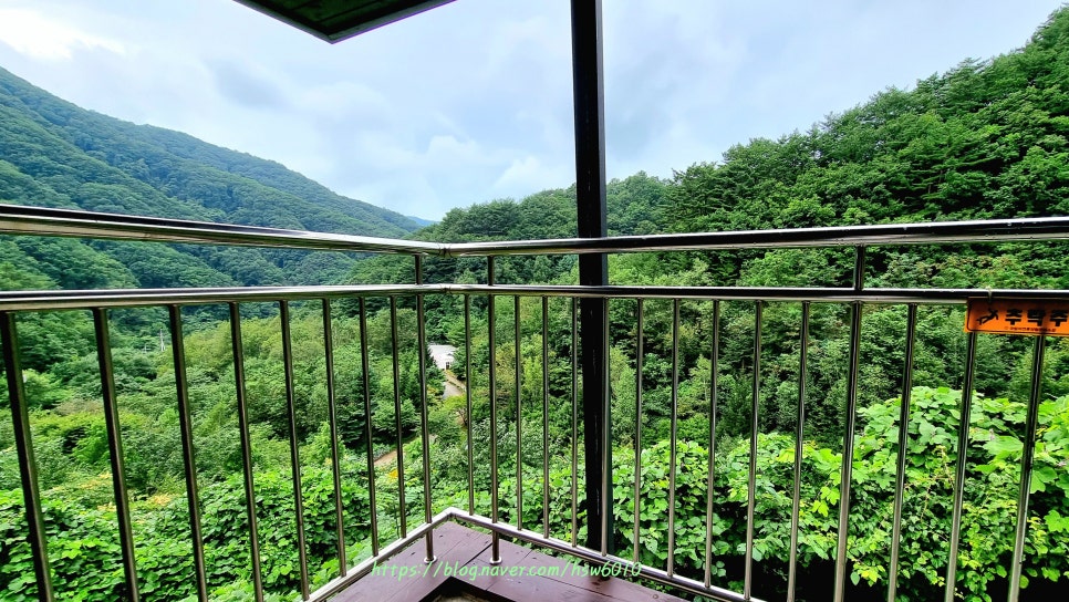 복주산자연휴양림 이미지