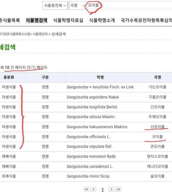 상귀약초 이미지