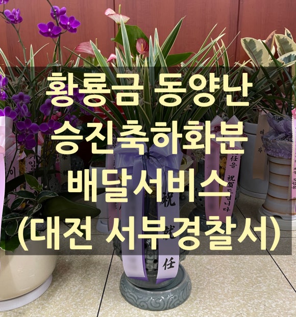 을지대학병원꽃집 이미지