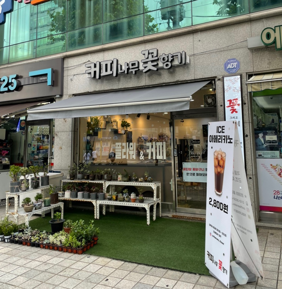 커피나무꽃향기 이미지