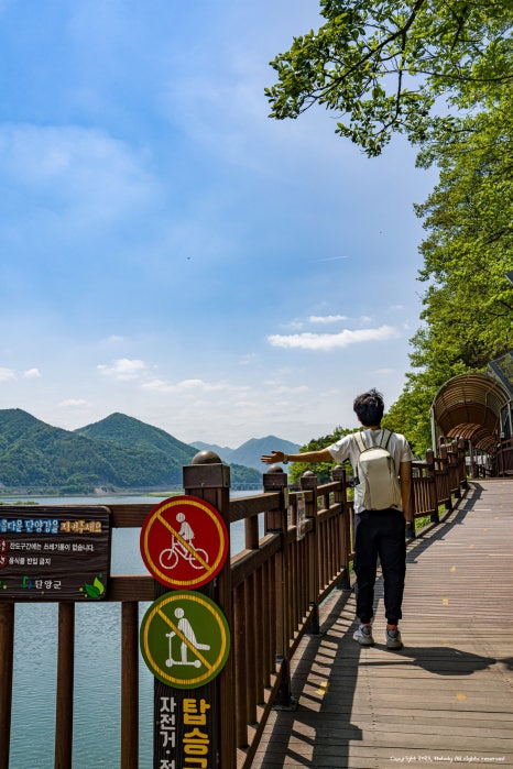 디자인짚 이미지
