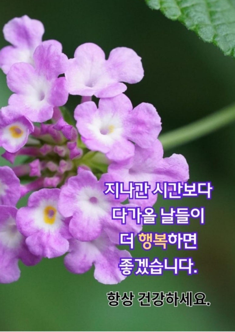 등대주유소 이미지